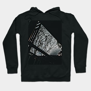 Nature in triangle Hoodie